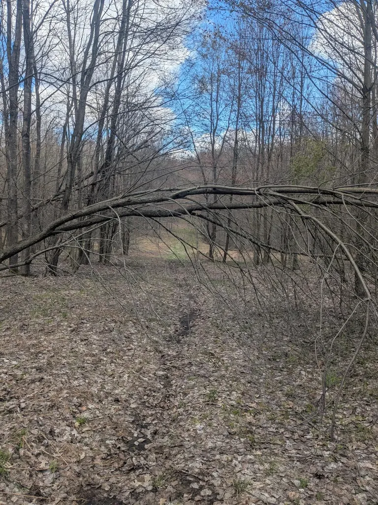 20179 N Coates Highway Dickson Township MI 49619