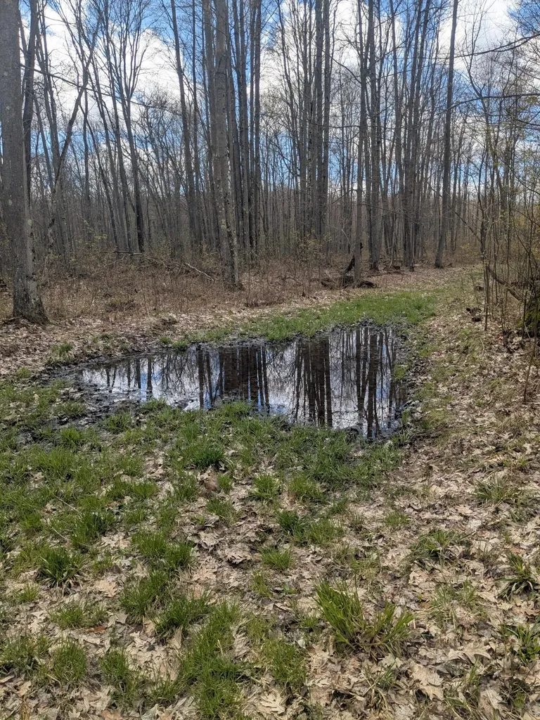 20179 N Coates Highway Dickson Township MI 49619