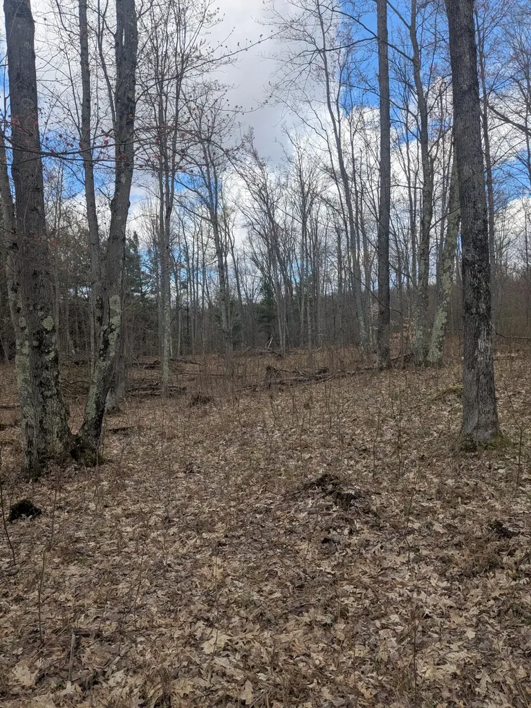 20179 N Coates Highway Dickson Township MI 49619