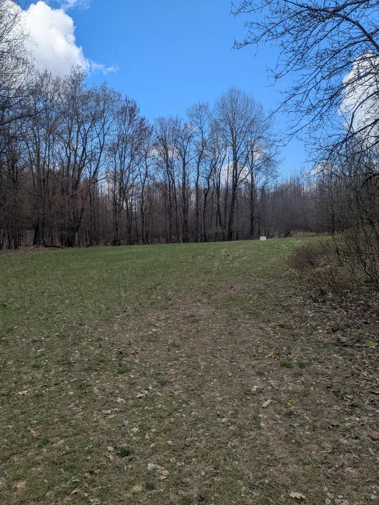 20179 N Coates Highway Dickson Township MI 49619