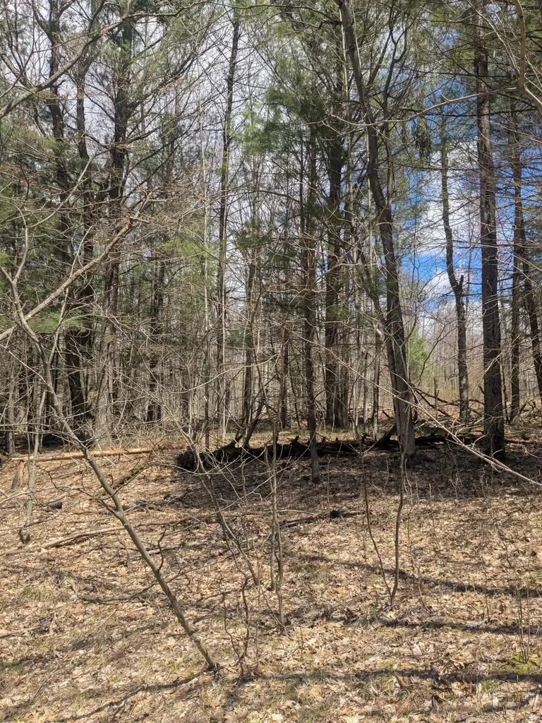 20179 N Coates Highway Dickson Township MI 49619