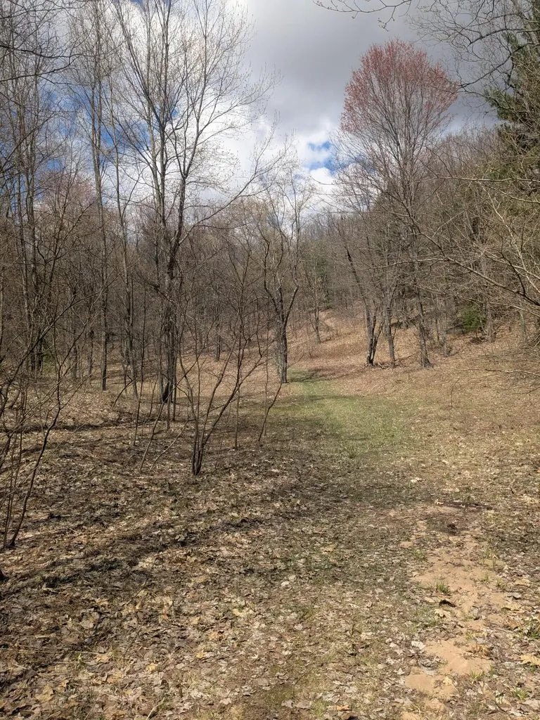 20179 N Coates Highway Dickson Township MI 49619