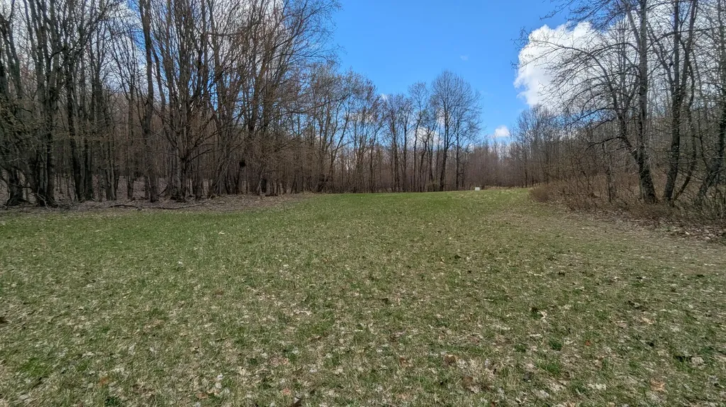 20179 N Coates Highway Dickson Township MI 49619