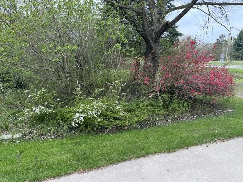 8671 13 Mile Road Bear Lake Township MI 49614