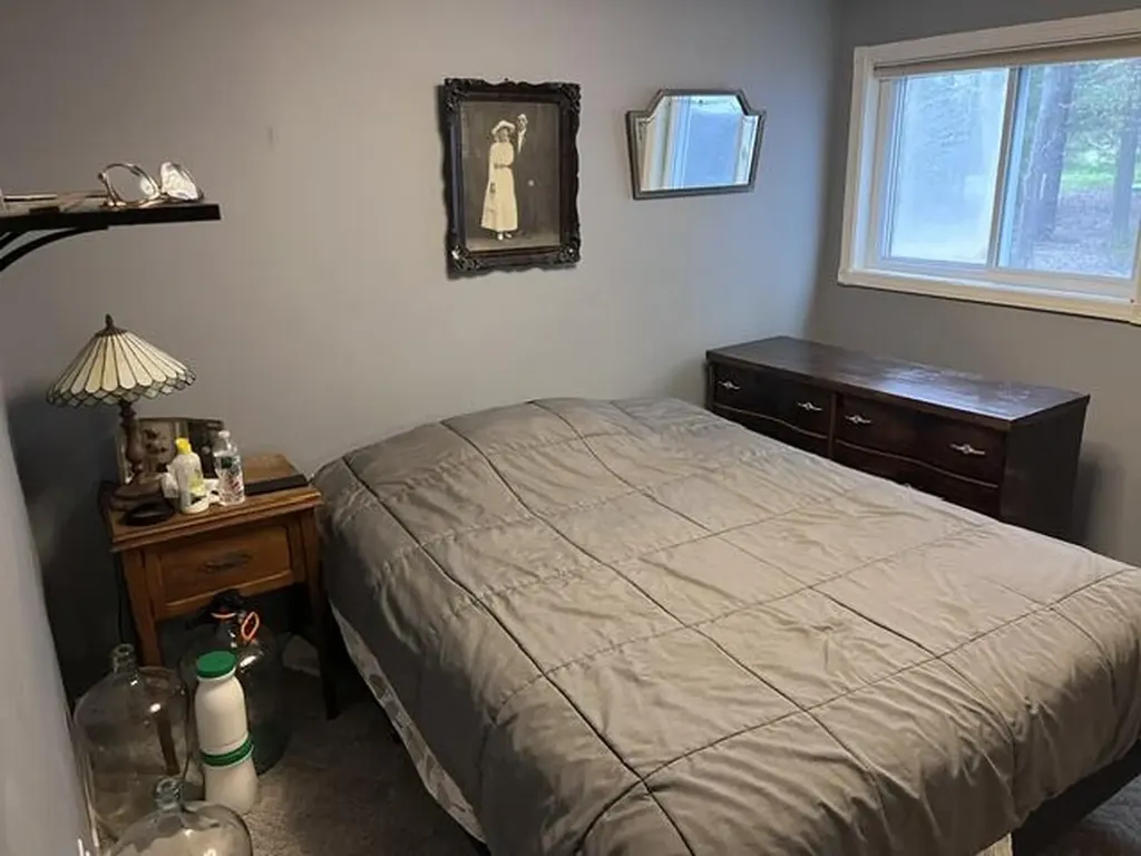 8671 13 Mile Road Bear Lake Township MI 49614