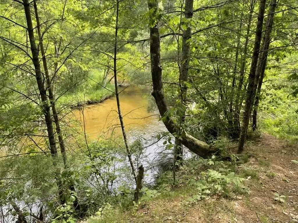 8967 W Kobe Lane Elk Township MI 49644