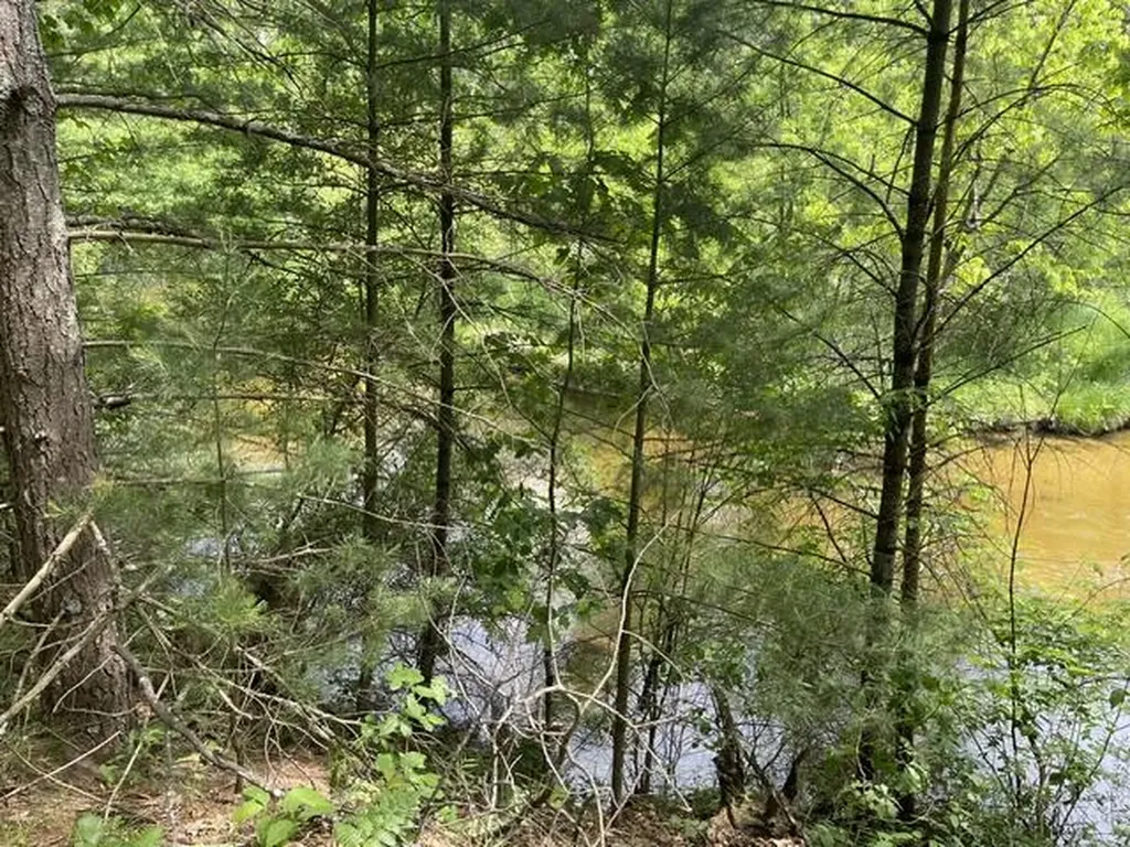 8967 W Kobe Lane Elk Township MI 49644