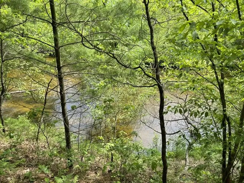 8967 W Kobe Lane Elk Township MI 49644