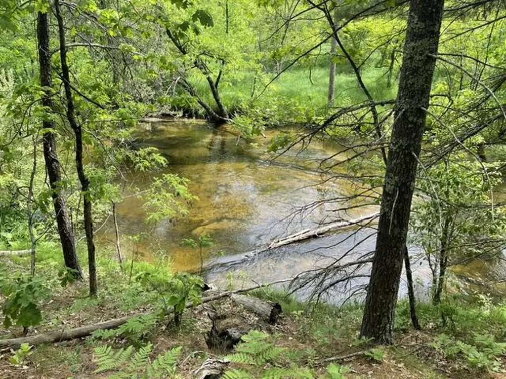 8967 W Kobe Lane Elk Township MI 49644
