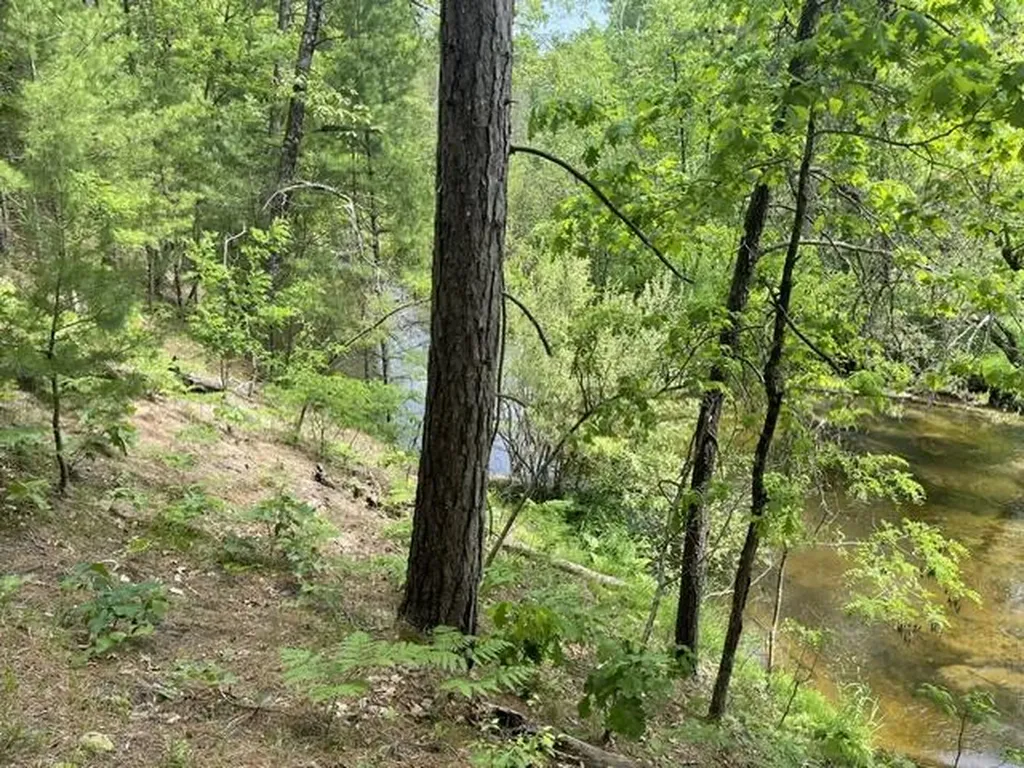 8967 W Kobe Lane Elk Township MI 49644