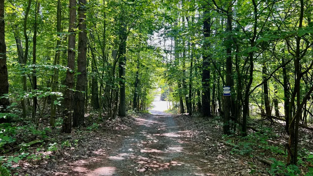1821 W Hansen Road Amber Township MI 49454