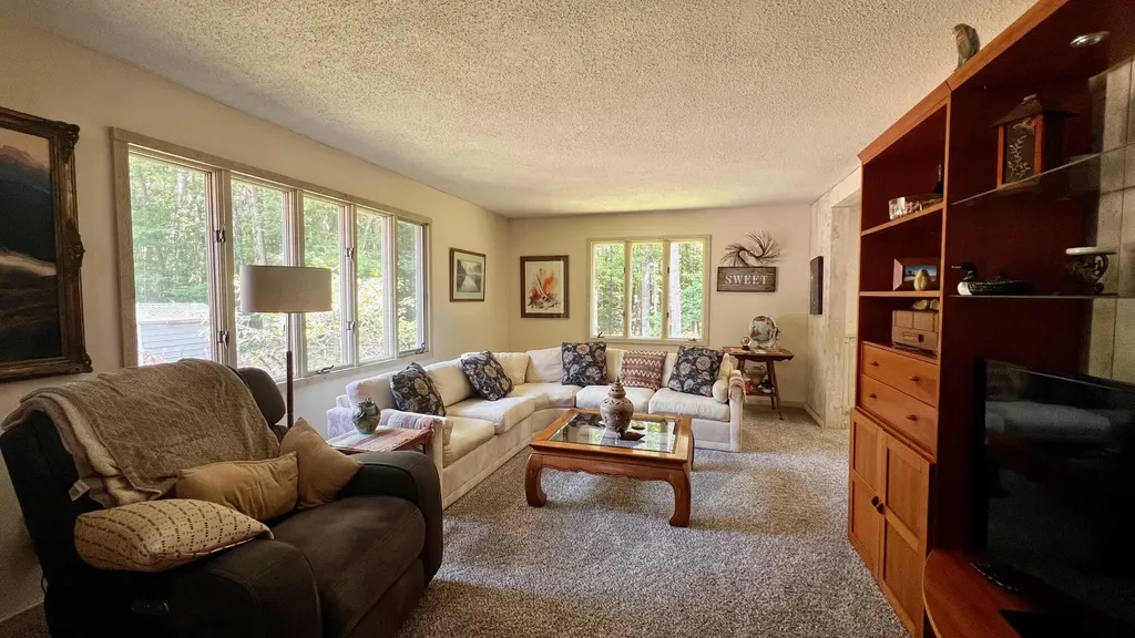 1821 W Hansen Road Amber Township MI 49454