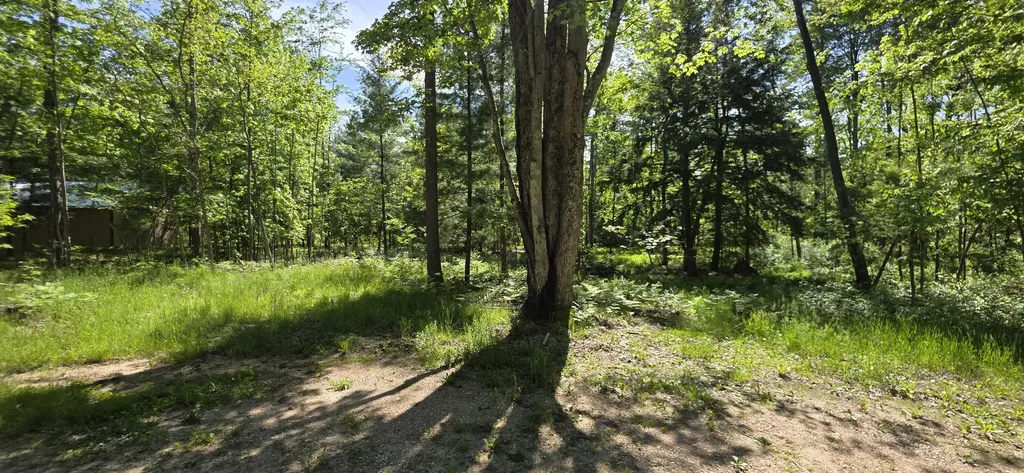 4869 E Free Soil Road Meade Township MI 49411