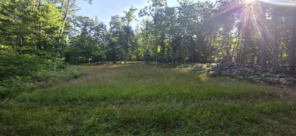 4869 E Free Soil Road Meade Township MI 49411