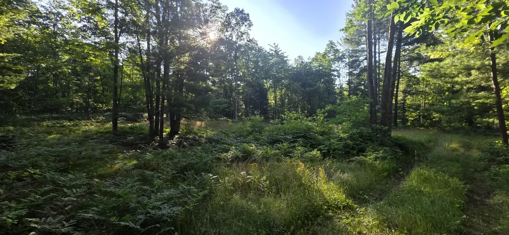 4869 E Free Soil Road Meade Township MI 49411