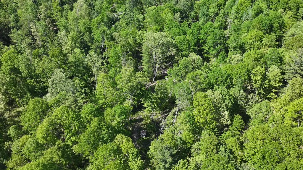4869 E Free Soil Road Meade Township MI 49411