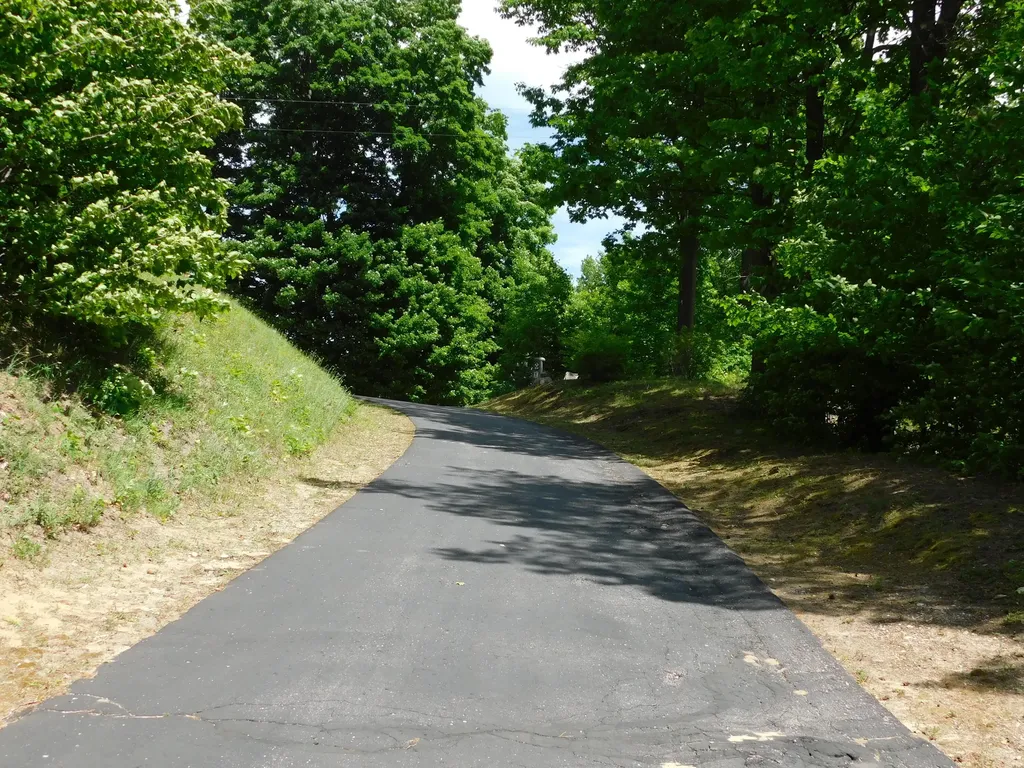 10653 Milarch Road Bear Lake Township MI 49614
