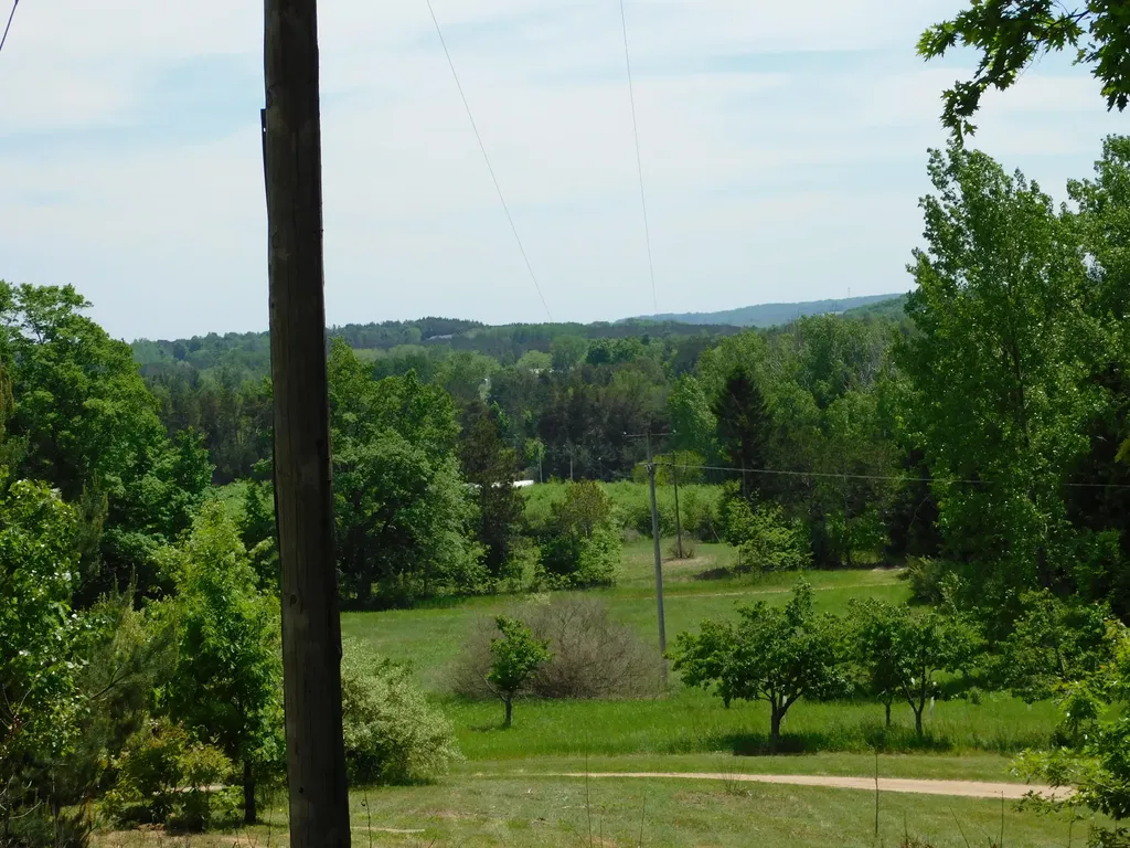 10653 Milarch Road Bear Lake Township MI 49614