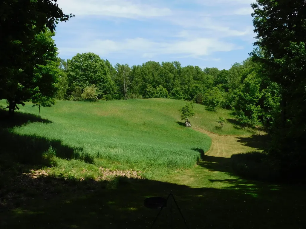 10653 Milarch Road Bear Lake Township MI 49614