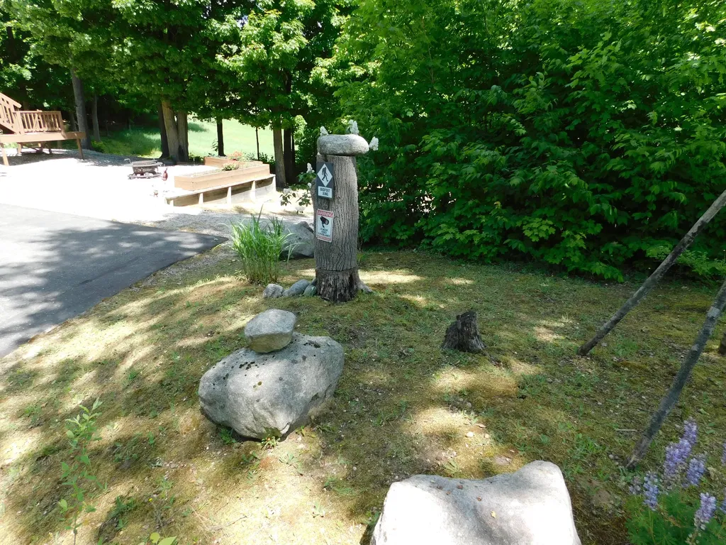 10653 Milarch Road Bear Lake Township MI 49614