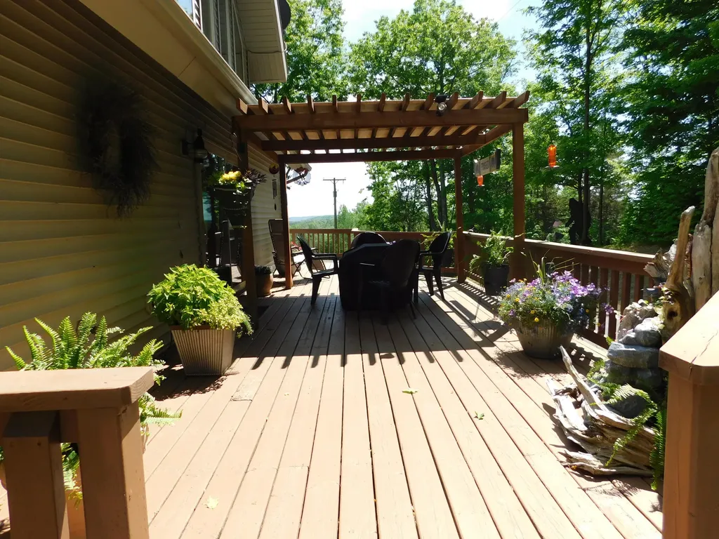 10653 Milarch Road Bear Lake Township MI 49614