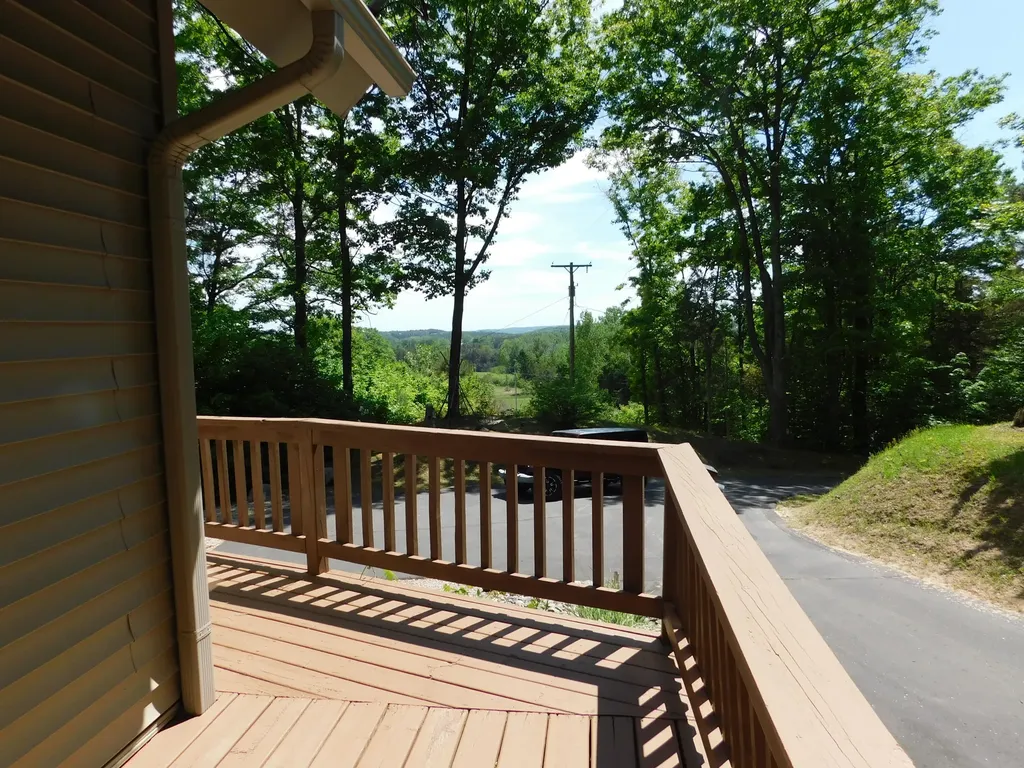 10653 Milarch Road Bear Lake Township MI 49614