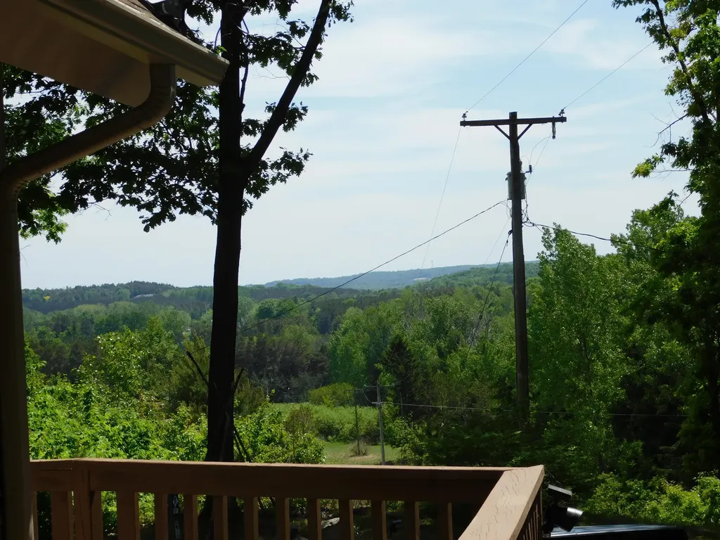 10653 Milarch Road Bear Lake Township MI 49614