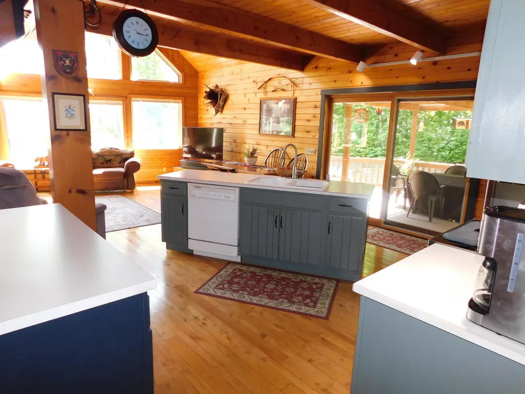 10653 Milarch Road Bear Lake Township MI 49614