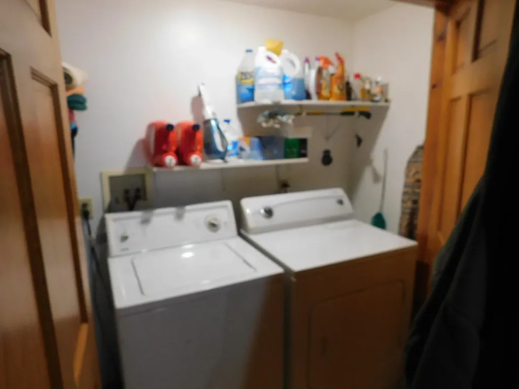 10653 Milarch Road Bear Lake Township MI 49614