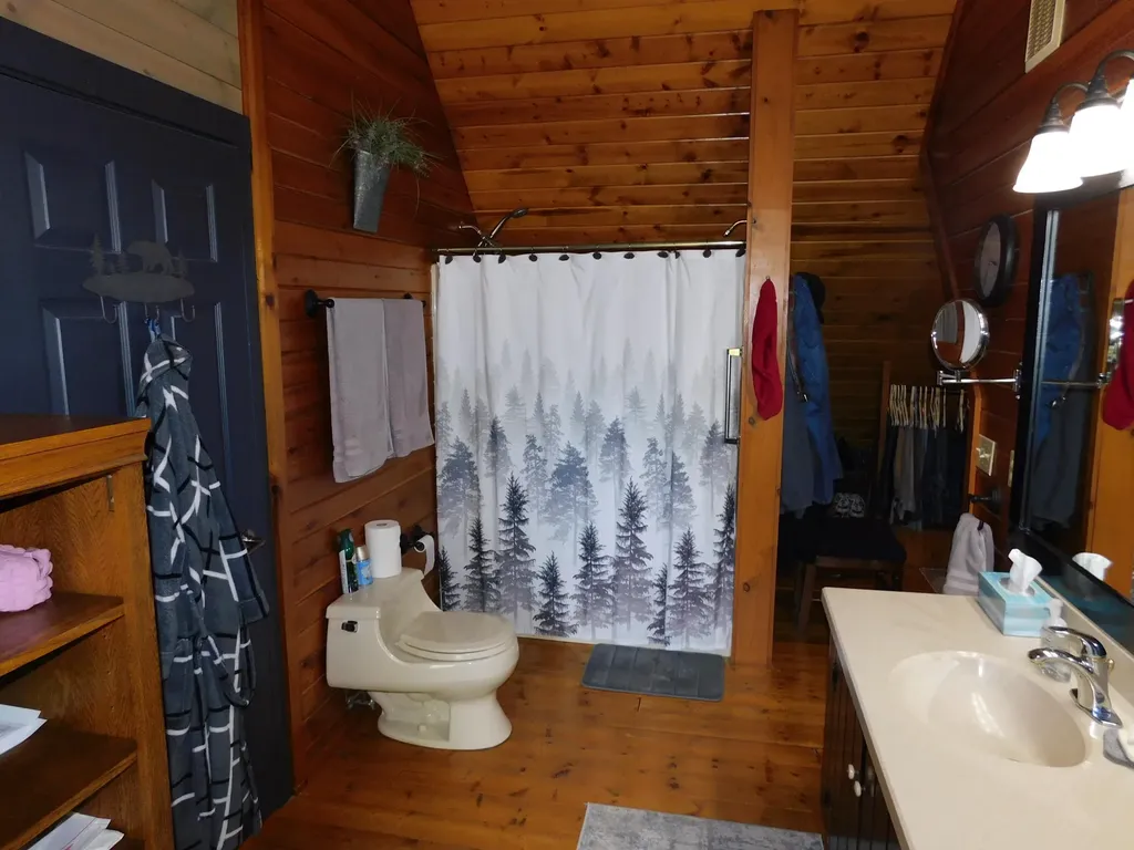 10653 Milarch Road Bear Lake Township MI 49614