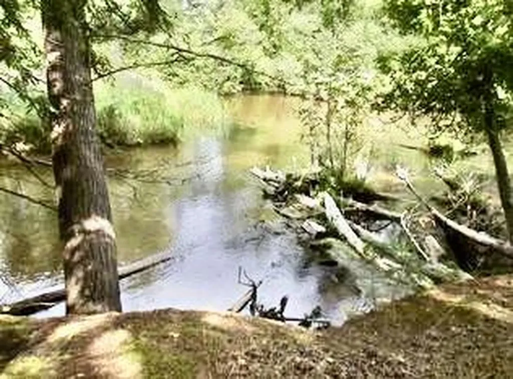1351 W White Road Unknown City MI 49411