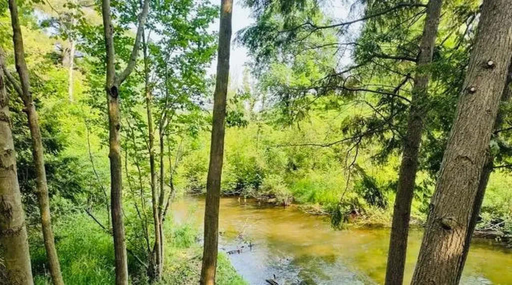 1351 W White Road Unknown City MI 49411