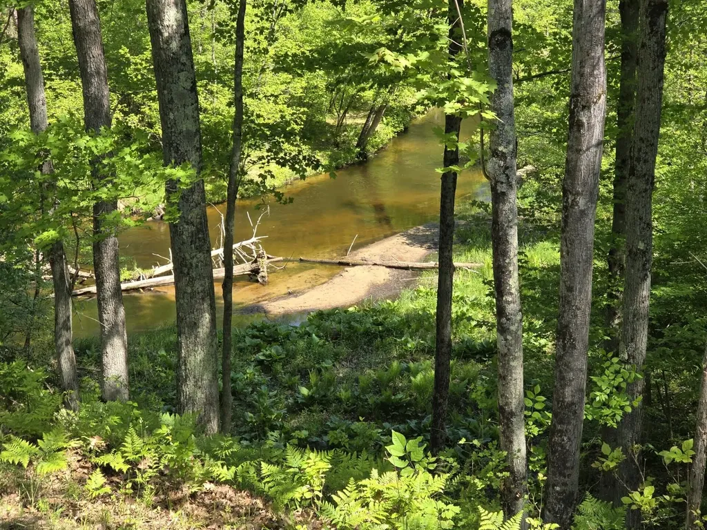 6360 W 8 Mile Road Elk Township MI 49644