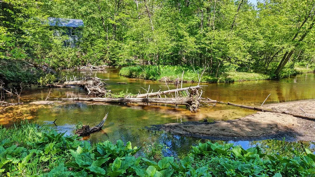 6360 W 8 Mile Road Elk Township MI 49644