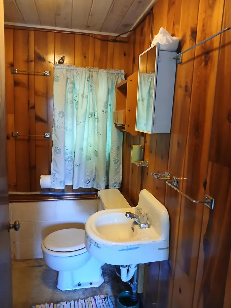 6149 N Loggers Lane Hamlin Township MI 49431