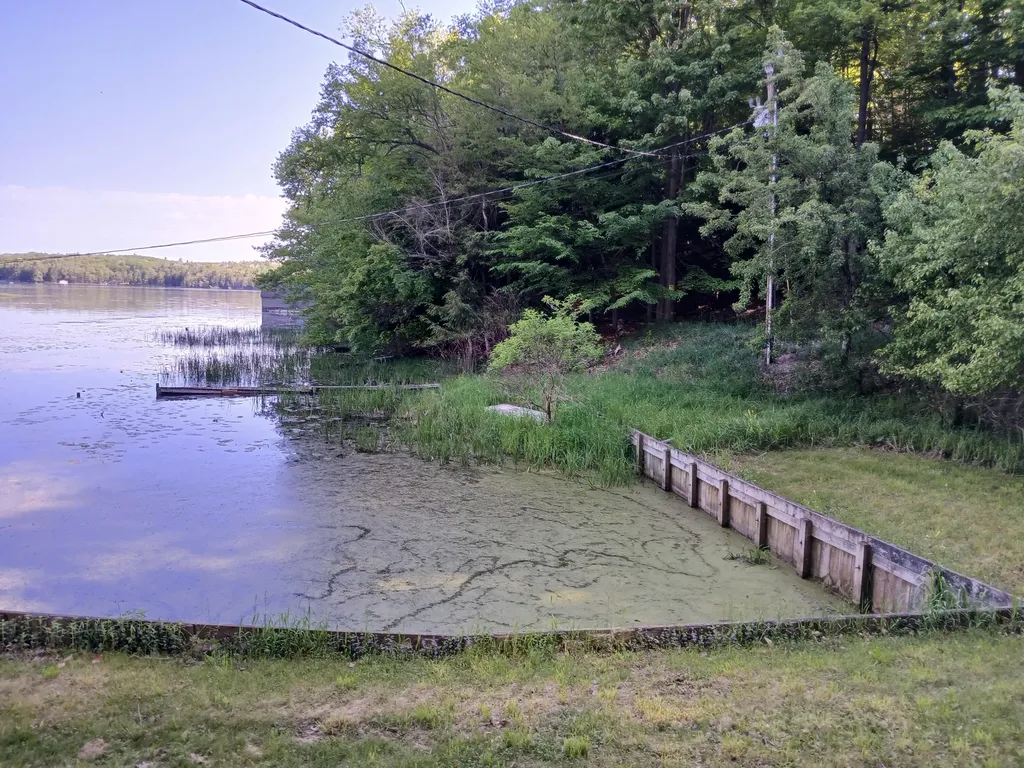 6149 N Loggers Lane Hamlin Township MI 49431