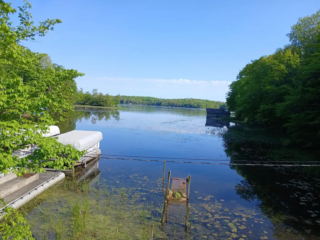 6149 N Loggers Lane Hamlin Township MI 49431