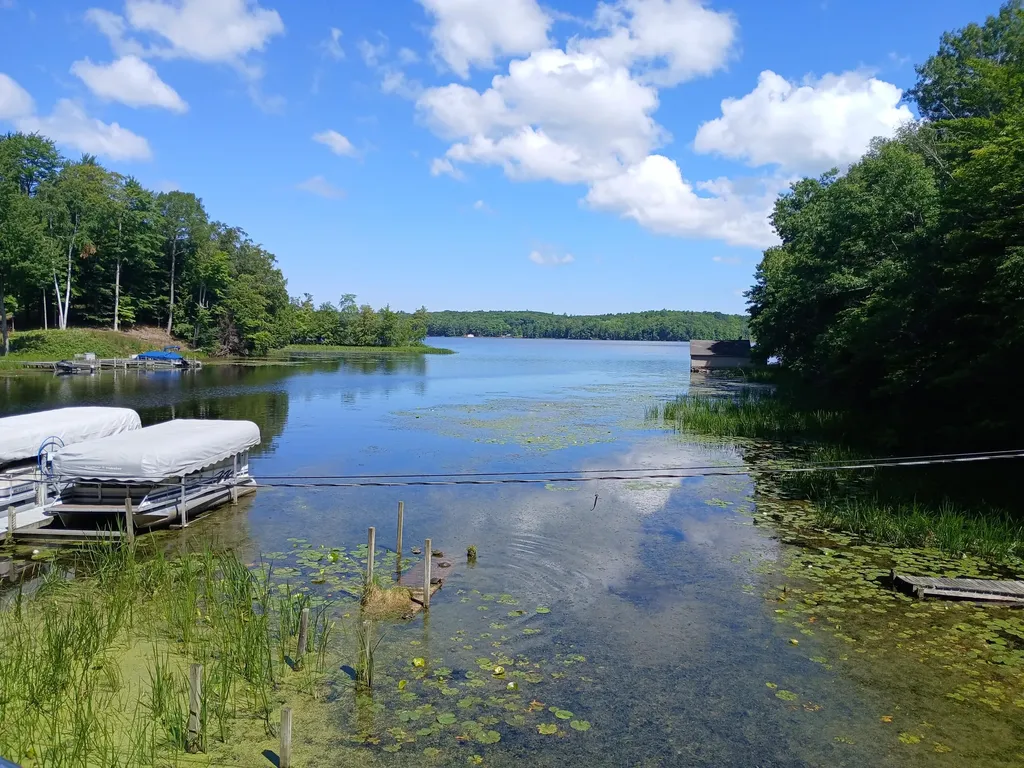 6149 N Loggers Lane Hamlin Township MI 49431
