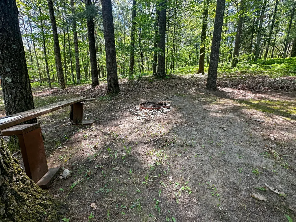 8923 W Toma Trail Elk Township MI 49644