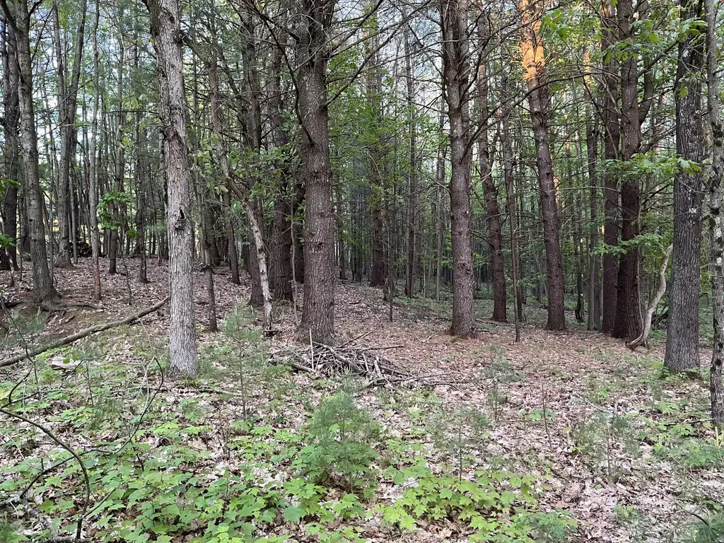 3601 Madison Road Manistee Township MI 49660