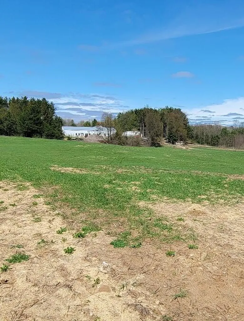 7909 11 Mile Road Bear Lake Township MI 49614