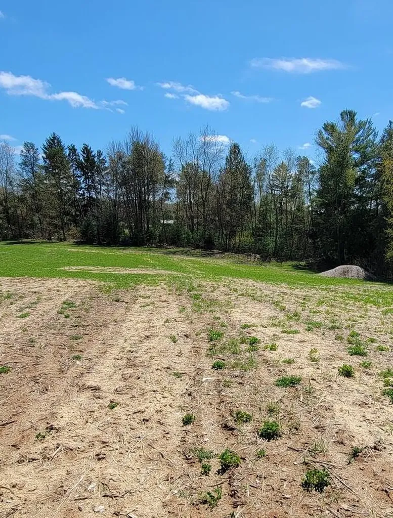 7909 11 Mile Road Bear Lake Township MI 49614