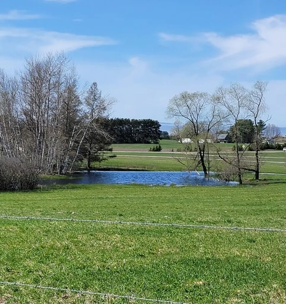 7909 11 Mile Road Bear Lake Township MI 49614