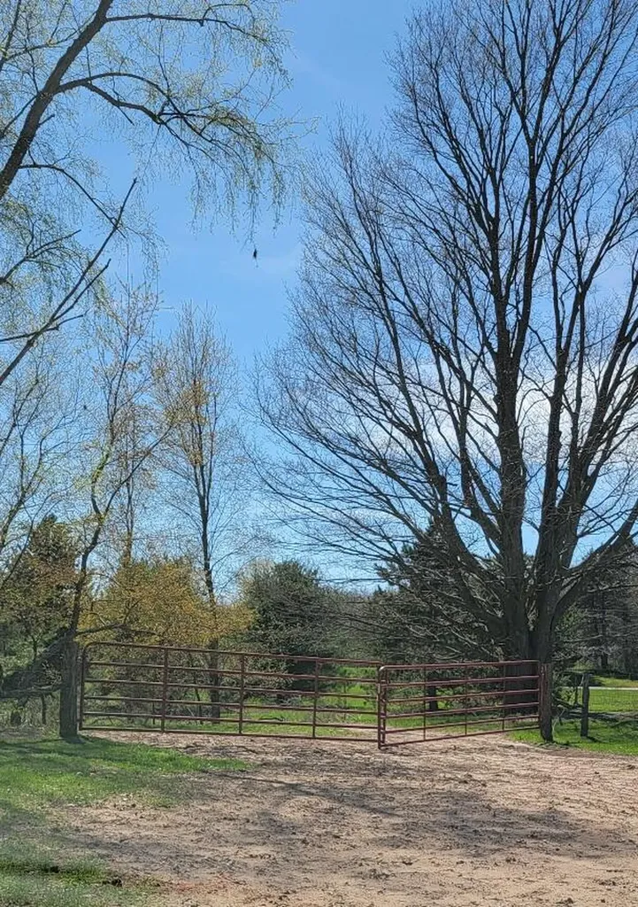 7909 11 Mile Road Bear Lake Township MI 49614