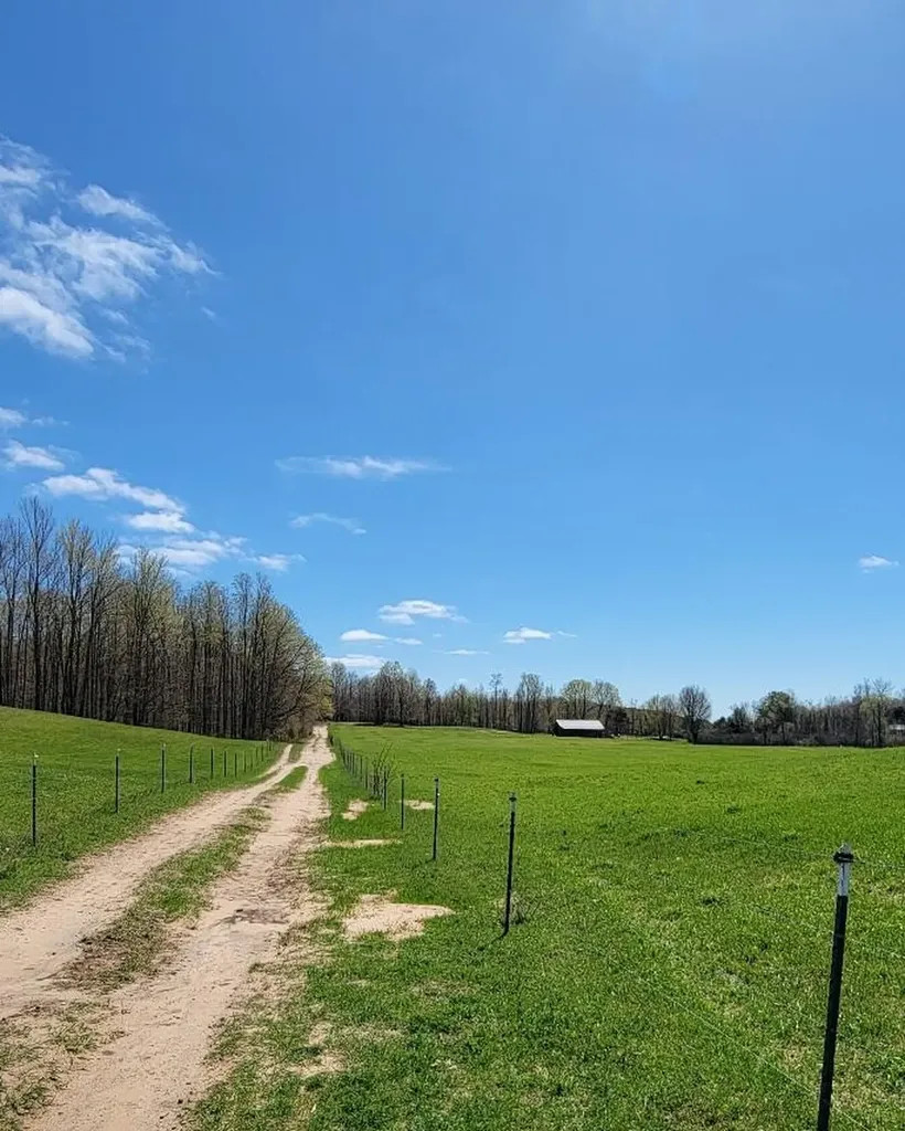 7909 11 Mile Road Bear Lake Township MI 49614