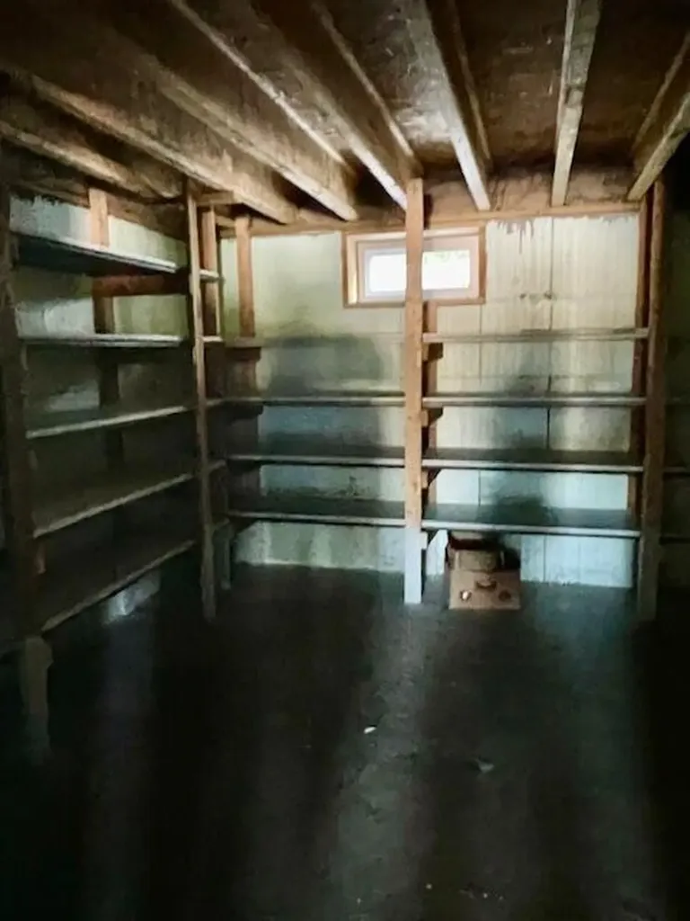 7909 11 Mile Road Bear Lake Township MI 49614