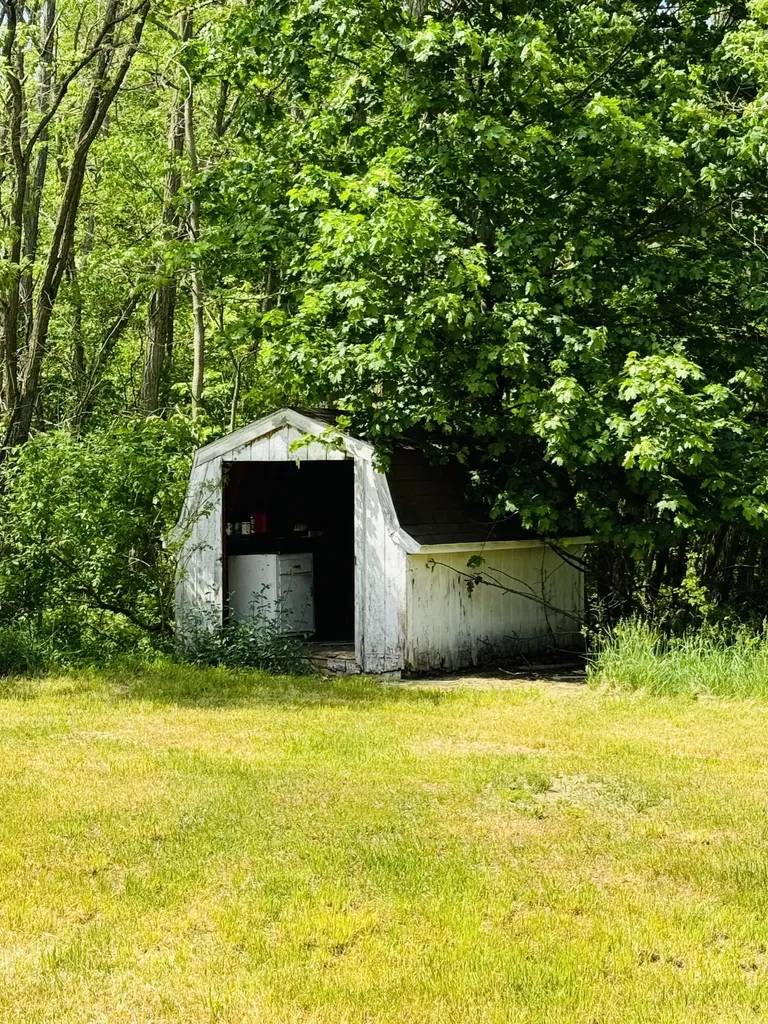 6668 E Annis Branch Township MI 49410