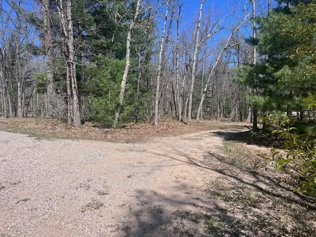 1990 Skocelas Road S Stronach Township MI 49660