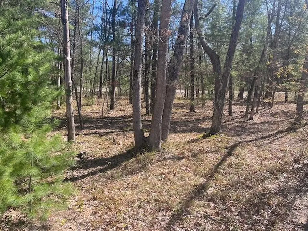 1990 Skocelas Road S Stronach Township MI 49660