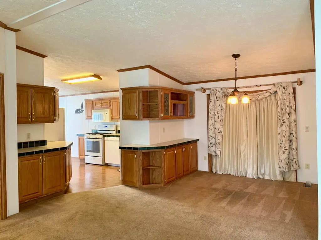 7283 White Swan Lane Hamlin Township MI 49431